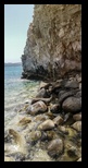 Zakynthos - Agios Sostis -24-06-2022 - Bogdan Balaban